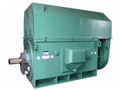 YJTFKK500-10-6KVYKK系列高压电机